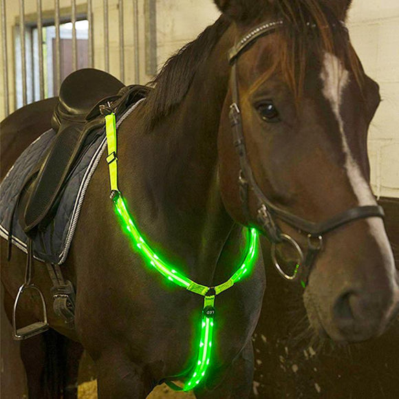 MOYLOR  Horse Breastplate Dual LED Horse Harness Nylon Night Visible Horse Riding Equipment Racing Equitation Cheval Belt C
