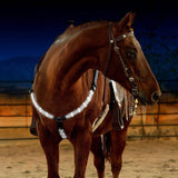 MOYLOR  Horse Breastplate Dual LED Horse Harness Nylon Night Visible Horse Riding Equipment Racing Equitation Cheval Belt C